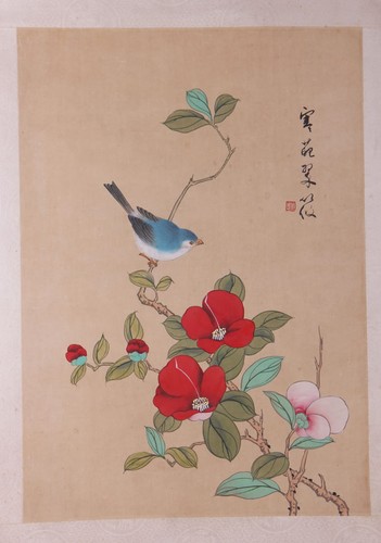 Vogel kamelienblüten aquarell - vogel,